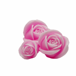 Elegante rooskaars - 3 formaten