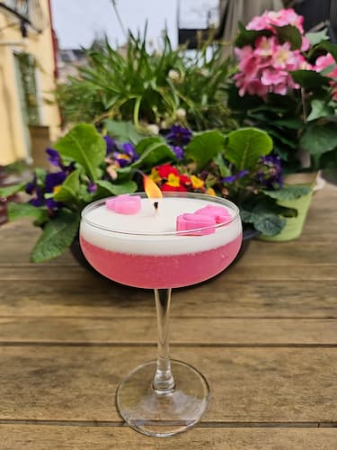 Hallo Baby Cockail Babykaars Roze