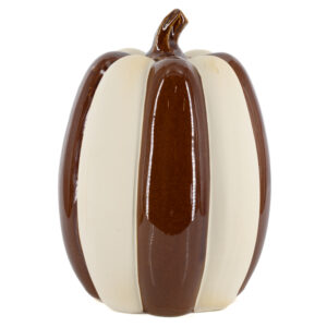 as9720 Decoratie Pompoen Earthtone L